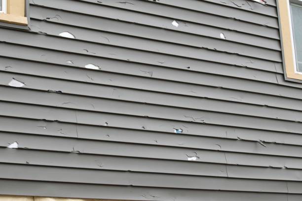 Professional Siding Installation & Repair in Mount Olive, NC